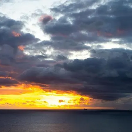 Shearwaters - Sounds Of The Sea Lejlighed Funchal (Madeira)