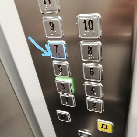 Apartman Shearwaters - Sounds Of The Sea *