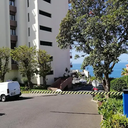 Shearwaters - Sounds Of The Sea * Funchal