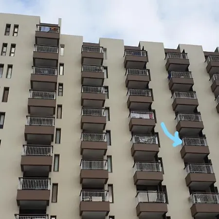 Shearwaters - Sounds Of The Sea