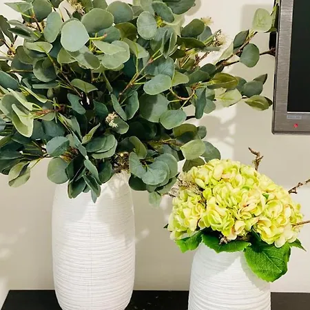 Shearwaters - Sounds Of The Sea Lejlighed *