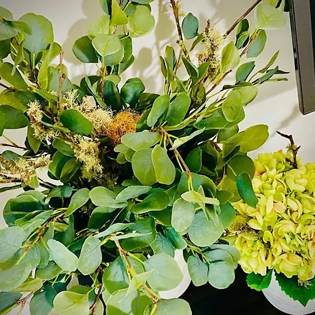 דירה Shearwaters - Sounds Of The Sea פונשל