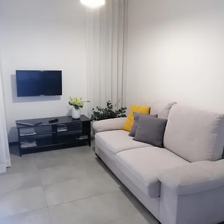 Shearwaters - Sounds Of The Sea Lejlighed