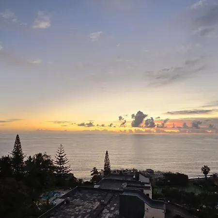 Shearwaters - Sounds Of The Sea Lejlighed