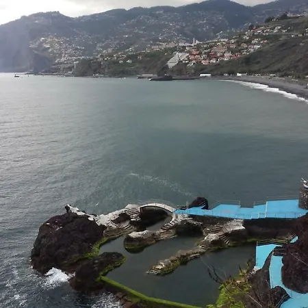 Shearwaters - Sounds Of The Sea * Funchal (Madeira)