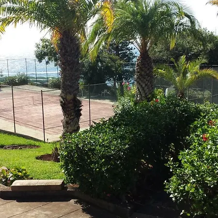 Shearwaters - Sounds Of The Sea Lejlighed