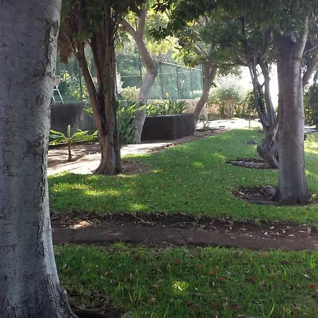 Shearwaters - Sounds Of The Sea *