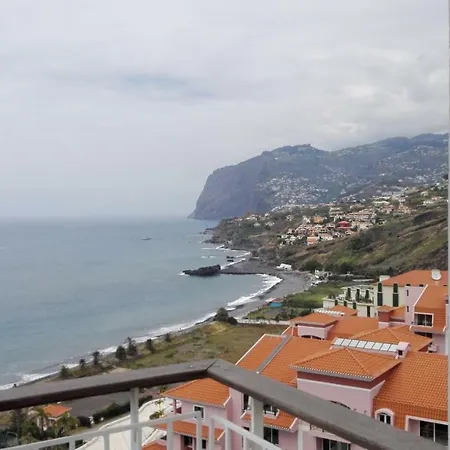 Shearwaters - Sounds Of The Sea * Funchal (Madeira)