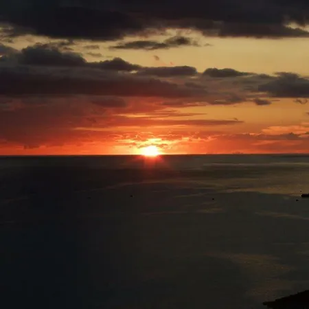 Shearwaters - Sounds Of The Sea * Funchal (Madeira)