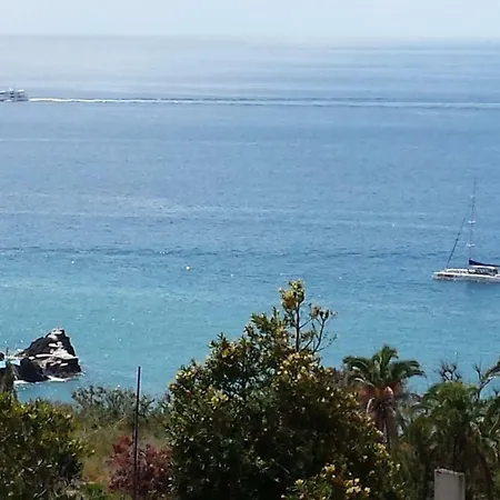 Shearwaters - Sounds Of The Sea * Funchal (Madeira)