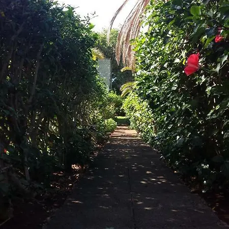 דירה Shearwaters - Sounds Of The Sea פונשל