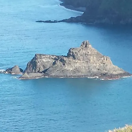 Shearwaters - Sounds Of The Sea * Funchal (Madeira)