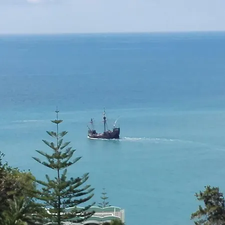 Lejlighed Shearwaters - Sounds Of The Sea *