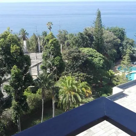 Shearwaters - Sounds Of The Sea Funchal (Madeira)