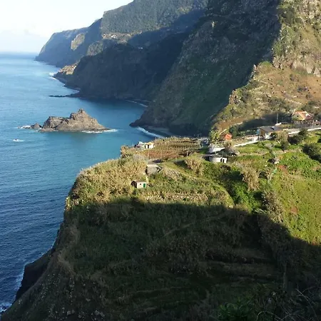 Shearwaters - Sounds Of The Sea * Funchal (Madeira)