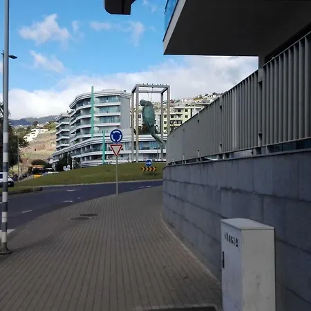 Shearwaters - Sounds Of The Sea דירה