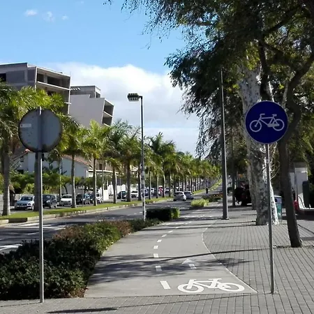 Shearwaters - Sounds Of The Sea *