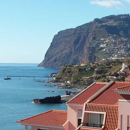 Shearwaters - Sounds Of The Sea Funchal (Madeira)