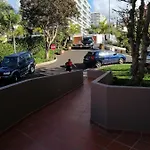 Shearwaters - Sounds Of The Sea * Funchal
