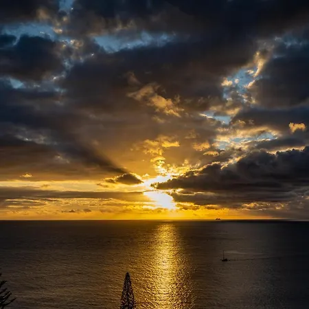 Shearwaters - Sounds Of The Sea *