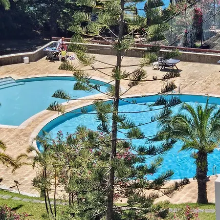 شقة Shearwaters - Sounds Of The Sea *