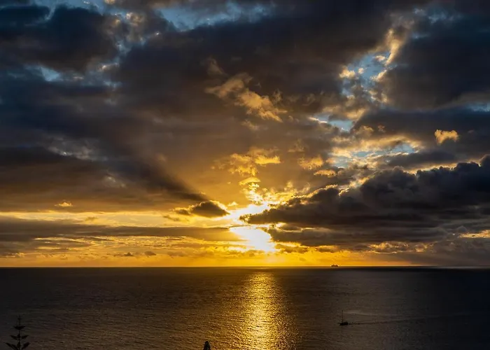 Shearwaters - Sounds Of The Sea *