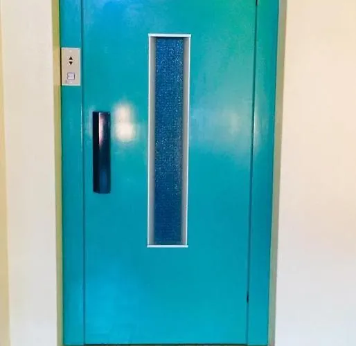 Shearwaters - Sounds Of The Sea Funchal (Madeira)