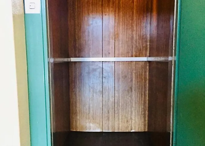 Shearwaters - Sounds Of The Sea *