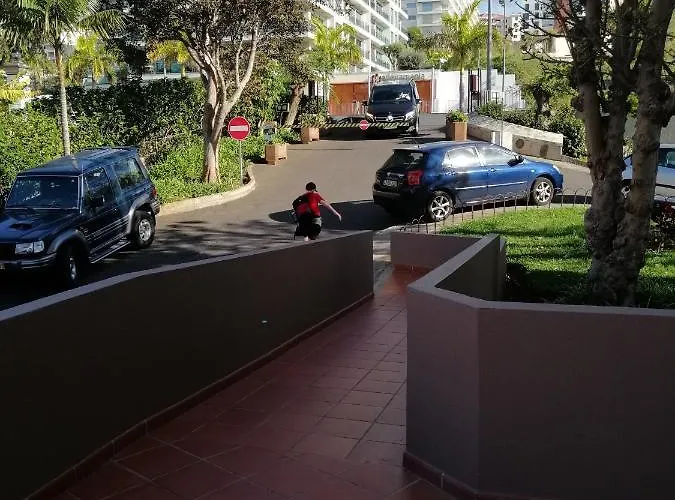 Shearwaters - Sounds Of The Sea * Funchal (Madeira)