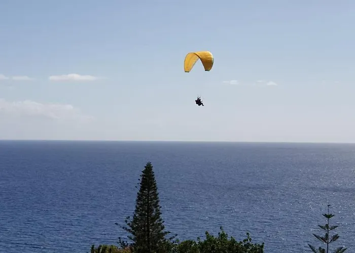 Shearwaters - Sounds Of The Sea Apartamento Funchal (Madeira)
