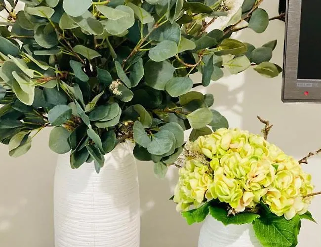 Shearwaters - Sounds Of The Sea Apartamento *