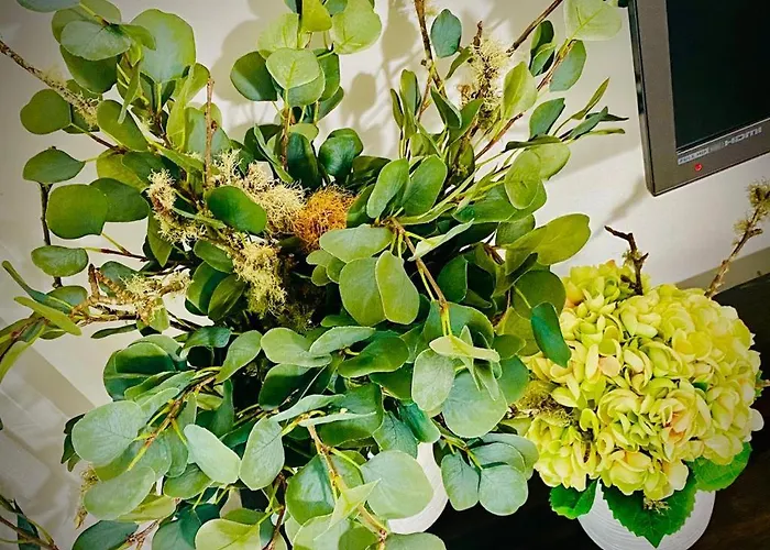 Apartamento Shearwaters - Sounds Of The Sea Funchal (Madeira)