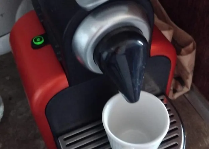 Shearwaters - Sounds Of The Sea *