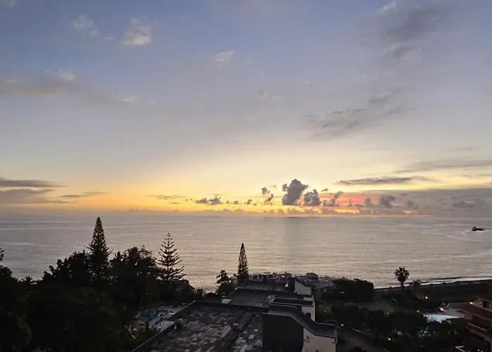 Shearwaters - Sounds Of The Sea Apartamento