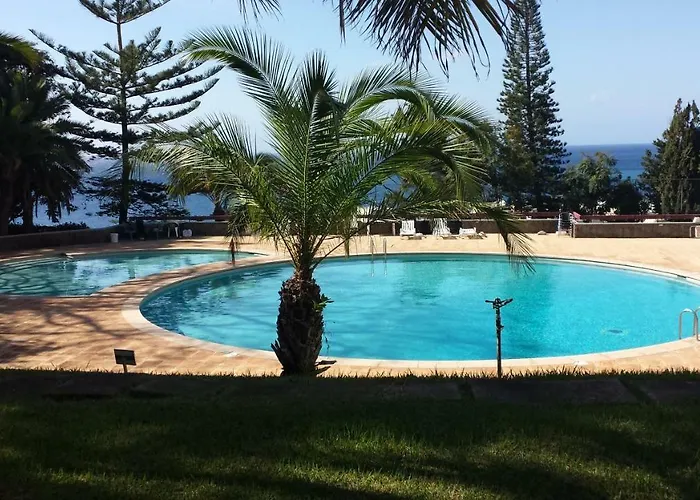 Shearwaters - Sounds Of The Sea *