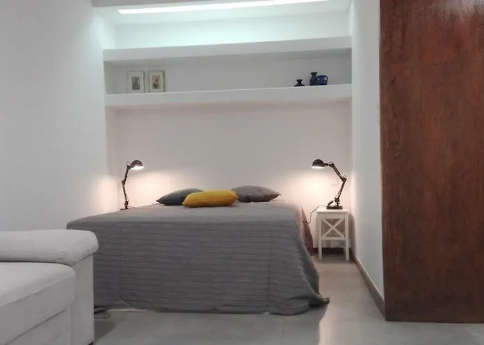 Shearwaters - Sounds Of The Sea Funchal (Madeira)