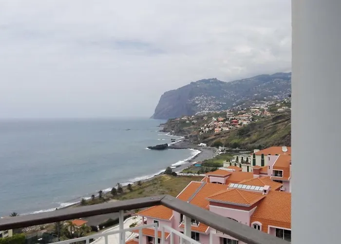 Shearwaters - Sounds Of The Sea * Funchal (Madeira)