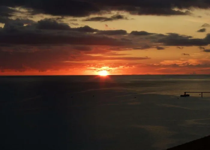 Shearwaters - Sounds Of The Sea * Funchal (Madeira)