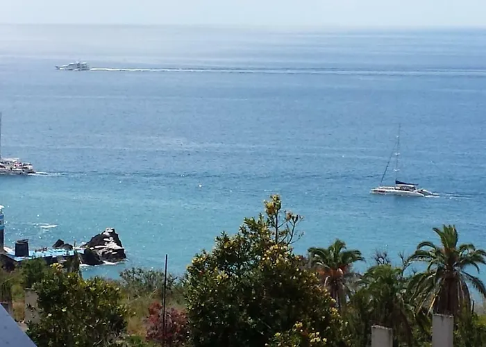 Shearwaters - Sounds Of The Sea * Funchal (Madeira)