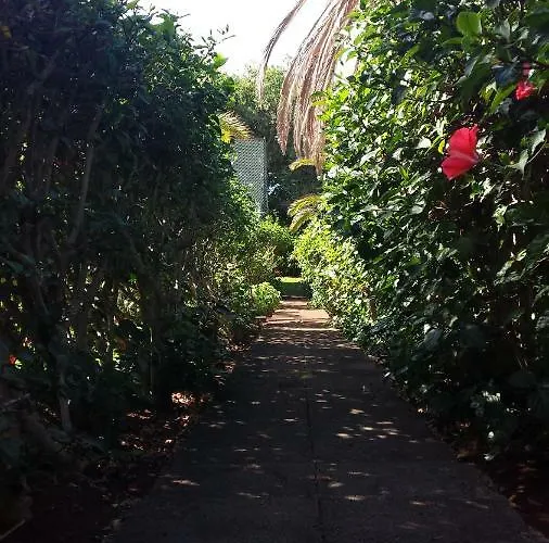 Apartamento Shearwaters - Sounds Of The Sea Funchal (Madeira)