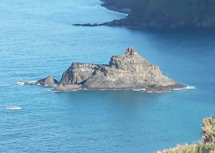 Shearwaters - Sounds Of The Sea * Funchal (Madeira)