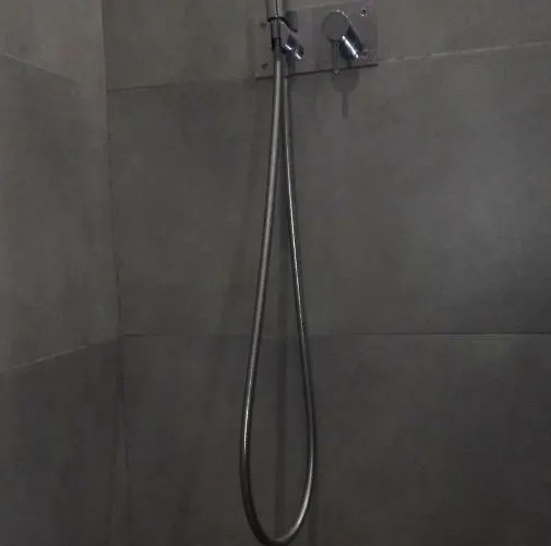 Shearwaters - Sounds Of The Sea Funchal (Madeira)