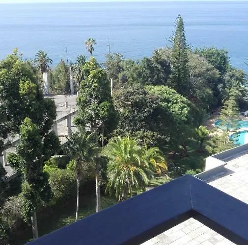 Shearwaters - Sounds Of The Sea Funchal (Madeira)