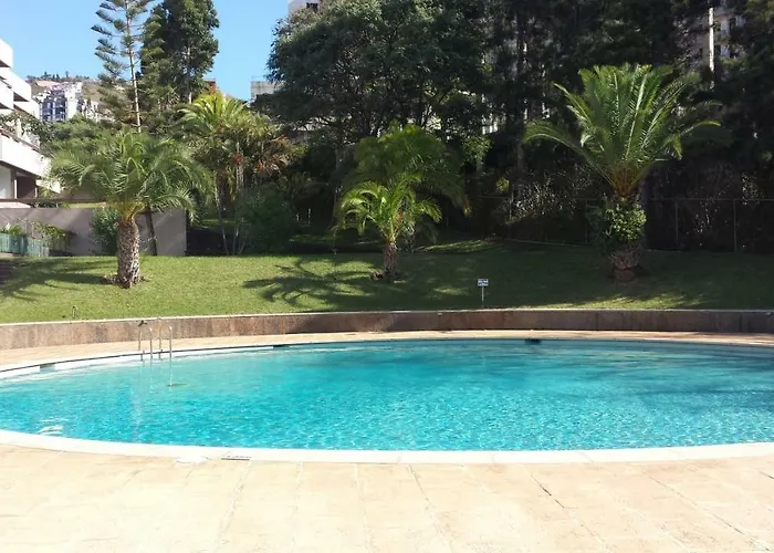 Shearwaters - Sounds Of The Sea Funchal (Madeira)