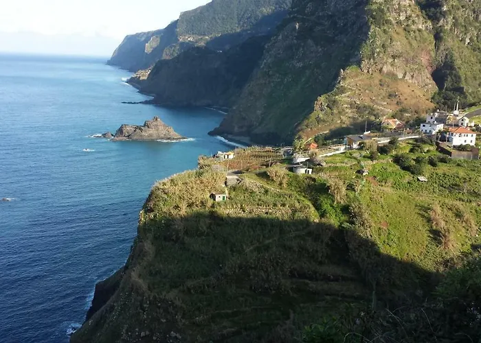 Shearwaters - Sounds Of The Sea * Funchal (Madeira)
