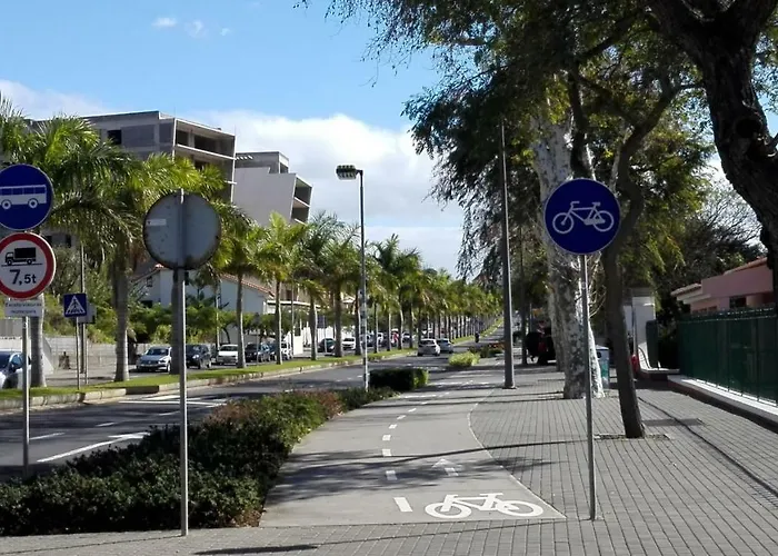 Shearwaters - Sounds Of The Sea *