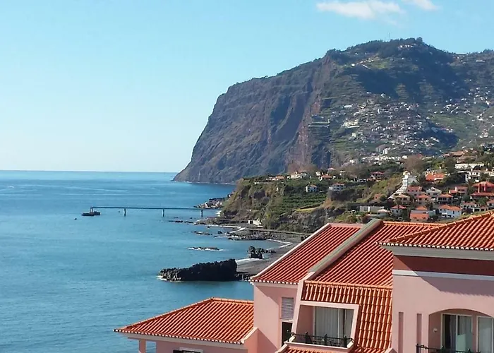 Shearwaters - Sounds Of The Sea Funchal (Madeira)